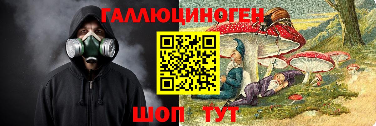 Псилоцибиновые грибы Psilocybe  Вход с VPN  Галлюциногенные грибы мухоморы  Димитровград 